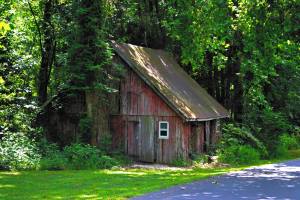 1048866_637607866283778_1730014488_o