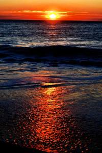 1185848_637618479616050_1648396683_n