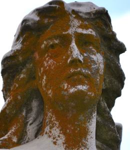 1456789_669139353130629_132516879_n