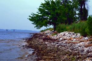 903884_667269319984299_548696231_o