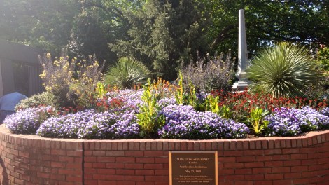 IMG_20170428_095525454