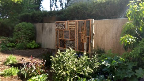 IMG_20170428_095740050_HDR