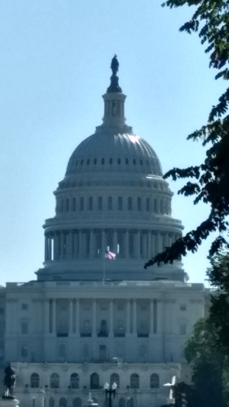 IMG_20170428_101609154_HDR